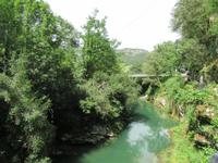 Cabrales (14)