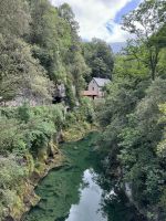 Cabrales 