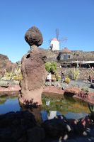 Cactusgarten 