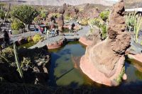 Cactusgarten 