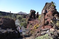 Cactusgarten 
