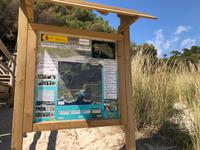 Cala Mitjana