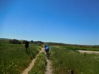 Camino Rural de la Campiña (12)