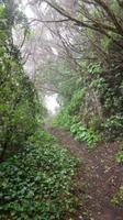 Camino de Sabinosa