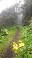 Camino de Sabinosa