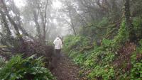 Camino de Sabinosa