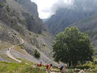 Cares Schlucht Wanderung in Picos de Europa (22)
