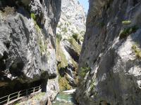 Cares Schlucht Wanderung in Picos de Europa (53)