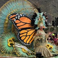 Carneval in Santa Cruz