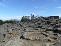 Castro de Santa Tecla