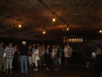 Cava Verkostung