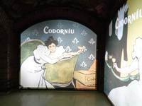 Caves Codorniu