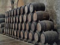 Caves Codorniu