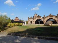 Codorniu (12)