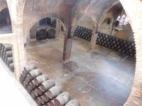 Codorniu (13)