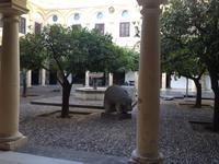 Cordoba (17)