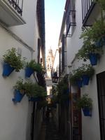 Cordoba (36)