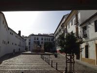 Cordoba (60)