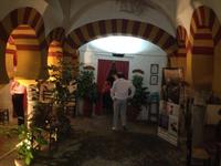 Cordoba (69)