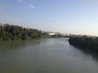 Cordoba (9)