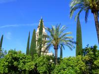 Cordoba