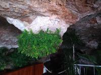 Cova d´en Xoroi