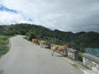 Covadonga (23)