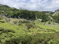 Covadonga .JPG