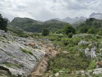 Covadonga .JPG