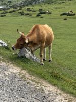 Covadonga .JPG