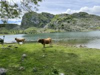 Covadonga 