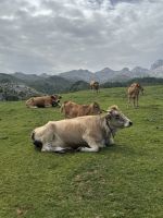 Covadonga.JPG