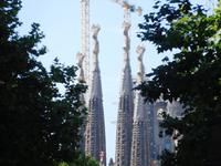 DSCN8877