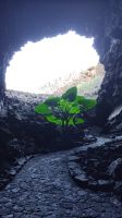 Der Eingang in Cueva de los Verdes