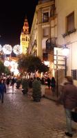 Der Glockenturm Giralda in Sevilla