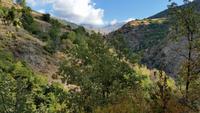 Die Alpujarras - Wanderreise Spanien – zu Fuß durch sonniges Andalusien