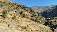 Die Alpujarras - Wanderreise Spanien – zu Fuß durch sonniges Andalusien