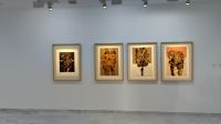 Die Bilder von C. Manrique