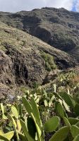 Die Schlucht ist besser sichtbar