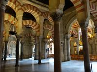 Die berühmte Mezquita, die maurische Moschee der Stadt in Cordoba (17)