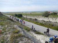 Doñana Park (11)