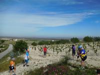 Doñana Park (15)