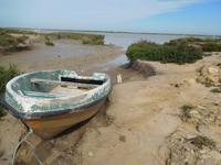 Doñana Park (18)