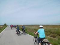 Doñana Park (19)