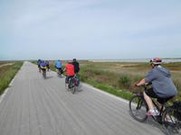 Doñana Park (20)
