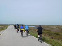 Doñana Park (23)