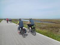Doñana Park (25)