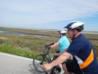 Doñana Park (26)