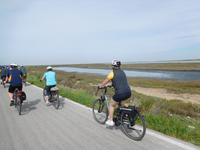 Doñana Park (28)