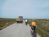 Doñana Park (33)